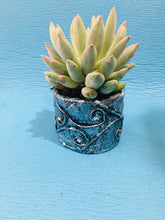 Load image into Gallery viewer, Eco Friendly Table Top Pots / Planter Hand Crafted for Home Decoration (3" Size)