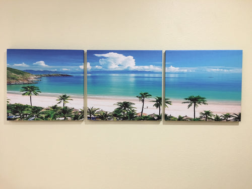 3Pc Brand New Canvas Print “The Turquoise Beach