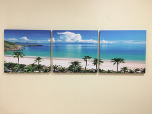 3Pc Brand New Canvas Print “The Turquoise Beach"