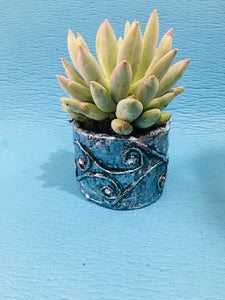 Eco Friendly Table Top Pots / Planter Hand Crafted for Home Decoration (3" Size)