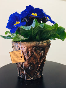 Eco Friendly Pots / Planters Hand Crafted for Hanging or Room Decoration (4.5" Size)