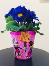 Load image into Gallery viewer, Eco Friendly Pots / Planters Hand Crafted for Hanging or Kids Room Decoration (4.5&quot; Size)