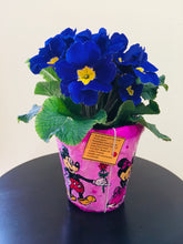 Load image into Gallery viewer, Eco Friendly Pots / Planters Hand Crafted for Hanging or Kids Room Decoration (4.5&quot; Size)