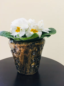 Eco Friendly Pots / Planters Hand Crafted for Hanging or Room Decoration (4.5" Size)