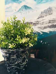 Eco Friendly Pots / Planters Hand Crafted for Hanging or Room Decoration (4.5" Size)