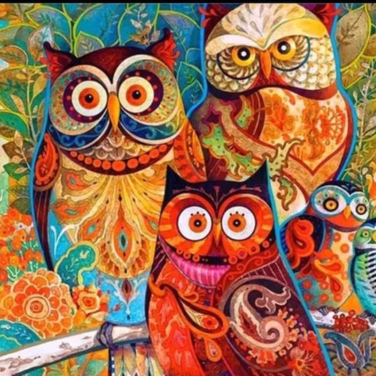 New Colorful Owl Canvas Print Painting for Room Decor