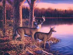 ‘Deer near Lakeside’ Beautiful Print on Canvas for home decor