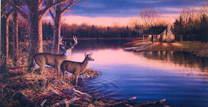 ‘Deer near Lakeside’ Beautiful Print on Canvas for home decor