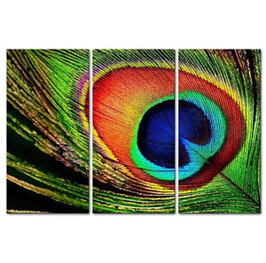 Brand New Amazing 3pc Canvas Print of Peacock Feather For Home Decor