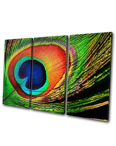 Brand New Amazing 3pc Canvas Print of Peacock Feather For Home Decor