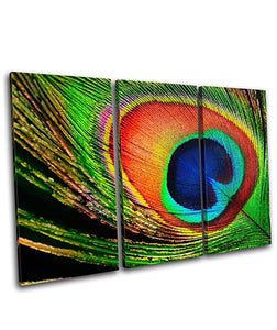 Brand New Amazing 3pc Canvas Print of Peacock Feather For Home Decor