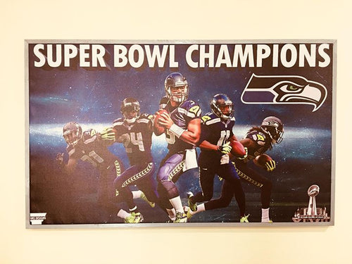 1 PC Brand New Framed Canvas Print “Super Bowl Champions”