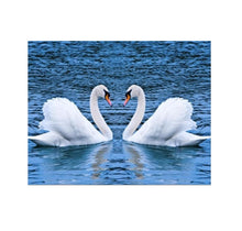 Load image into Gallery viewer, New and Beautiful Swan Couple Canvas Print for Home Decor