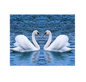 New and Beautiful Swan Couple Canvas Print for Home Decor