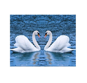 New and Beautiful Swan Couple Canvas Print for Home Decor