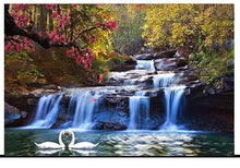 Load image into Gallery viewer, New Waterfall Canvas with Swan Couple and Flowers