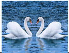 Load image into Gallery viewer, New and Beautiful Swan Couple Canvas Print for Home Decor
